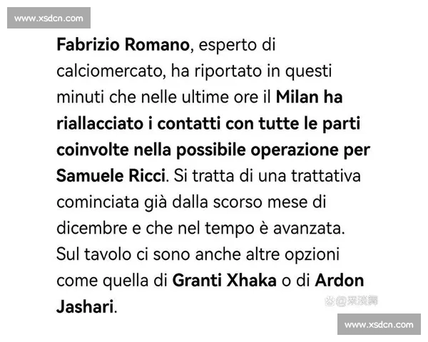 罗马诺确认：图卢兹任命贝扎尼为临时体育总监，红鸟集团力挽核心高管